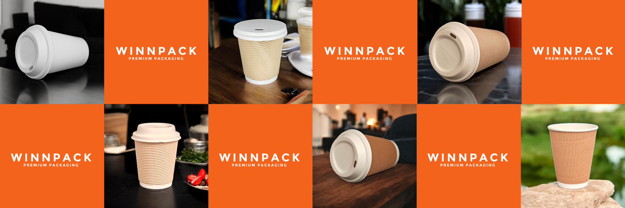 Paper Tableware