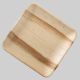 Areca Leaf Plate 10