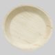 Areca Leaf Plate 12