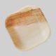 Areca Leaf Plate 4