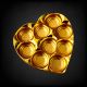 Plastic Chocolate Packaging Tray 9 Cavities Heart Slim – Golden