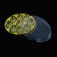 Transparent 9 Cavity Chocolate Oval Medium Crystal Box