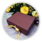 Premium packaging foldable boxes