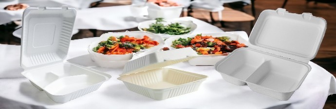 Premium packaging biodegradable bagasse containers